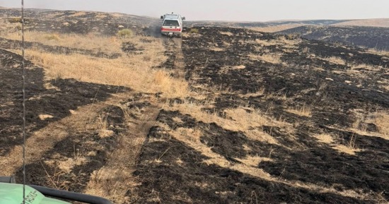 Nebraska Department of Agriculture Mobilizes Support for Farmers and Ranchers Amid State Wildfires